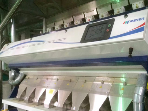 调味品净麦炒麦生产线