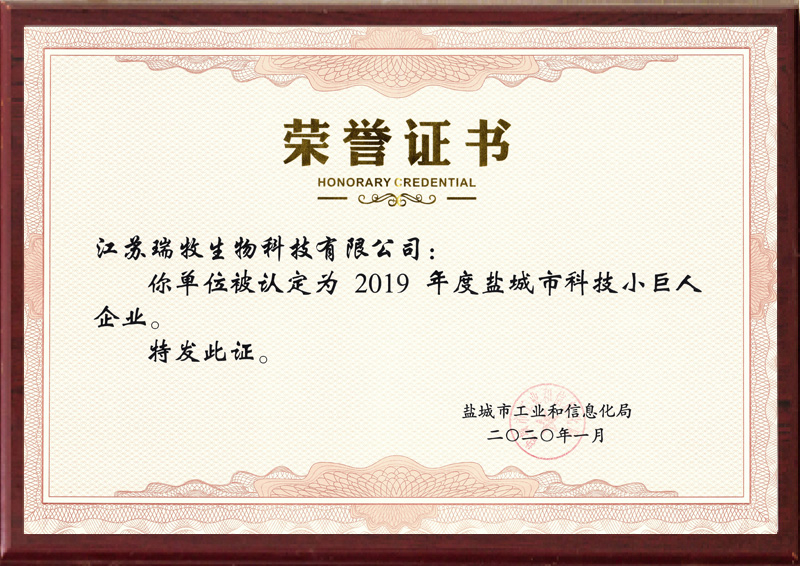 盐城市科技小巨人企业