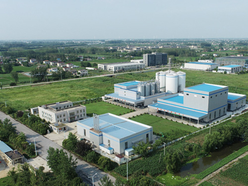 厂区鸟瞰图