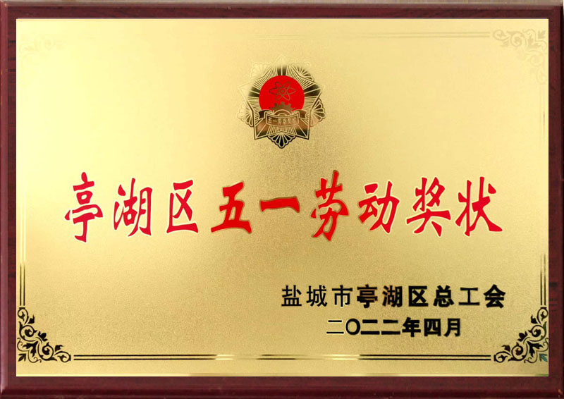 盐城市亭湖区五一劳动奖状