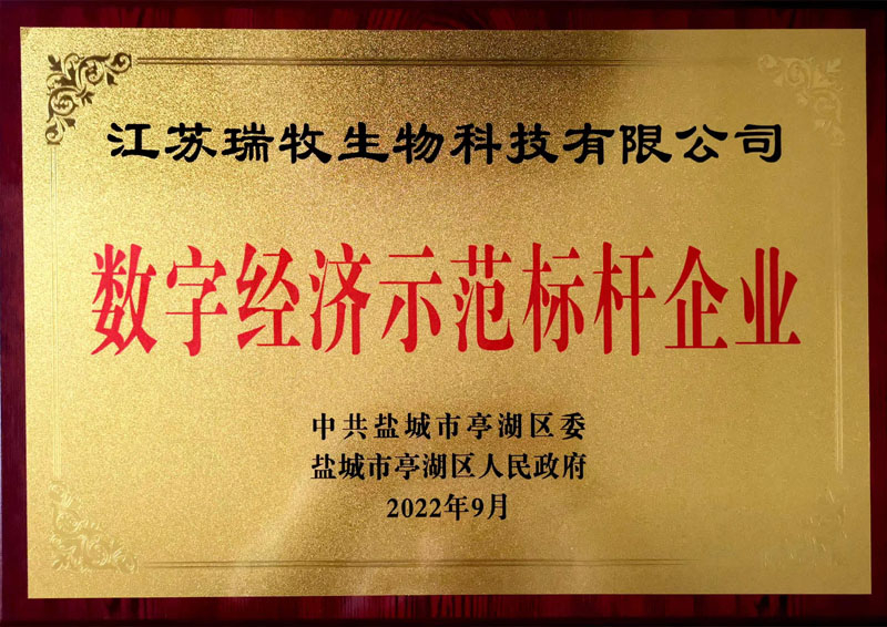 数字经济示范标杆企业