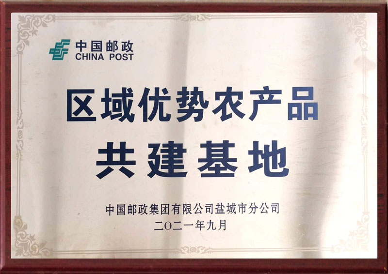 区域优势农产品共建基地